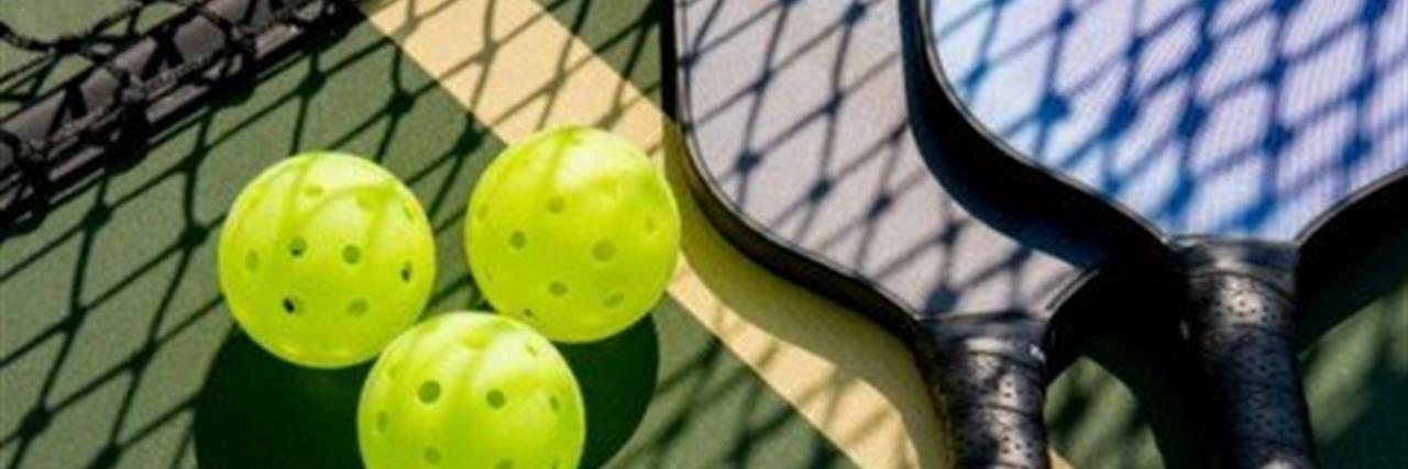Orange County: Pickleball Palooza image