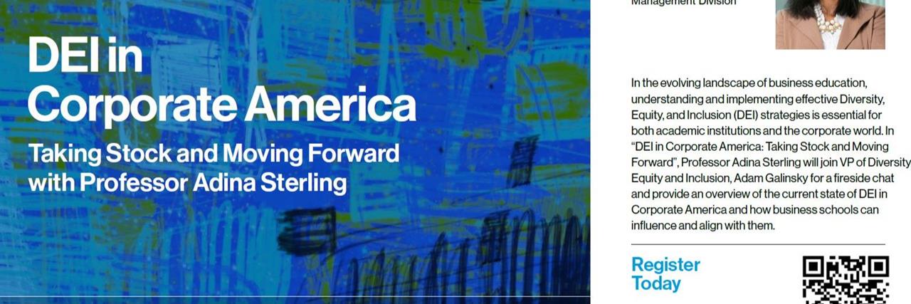 DEI in Corporate America: Taking Stock and Moving Forward with Adina Sterling (PPIL) image