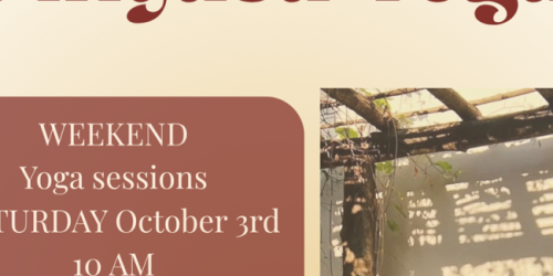 Saturday, October 3, 2026 Saturday Vinyasa Yoga Saturday Vinyasa Yoga image