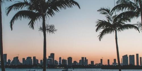 Saturday, December 6, 2025 Miami: Art Basel with CAA South Florida Miami: Art Basel with CAA South Florida image
